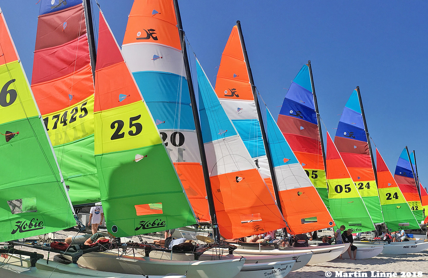 Europeo Hobie Cat Multiclasse - Hornbæk, DANIMARCA