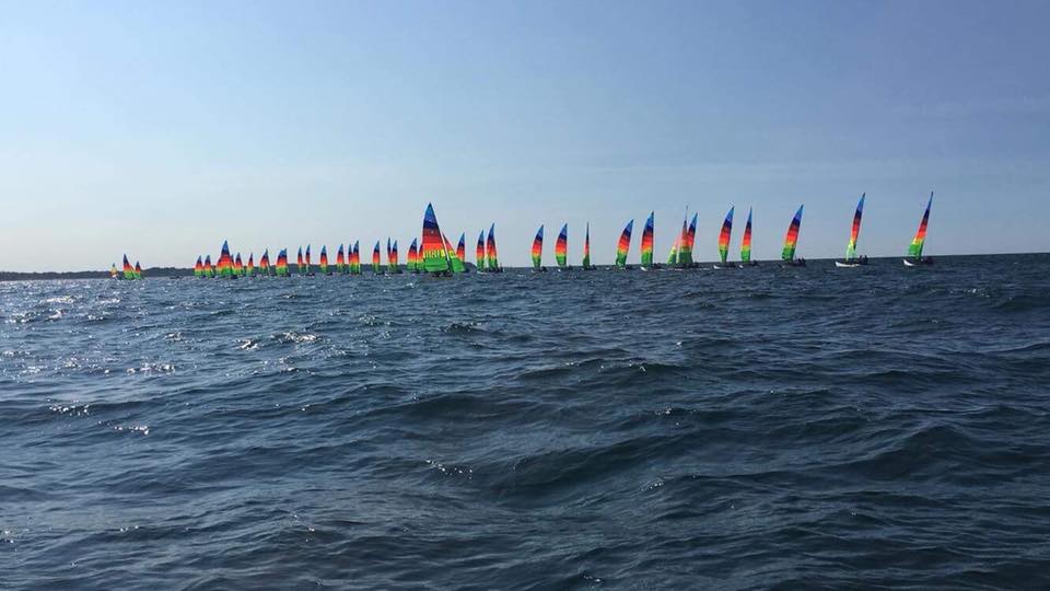 Europeo Hobie Cat Multiclasse - Hornbæk, DANIMARCA