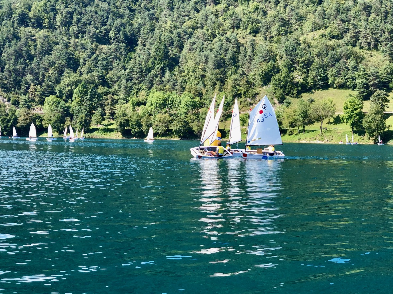 Campionato Europeo Optimist Team Racing